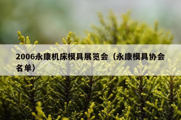 2006永康机床模具展览会（永康模具协会名单）