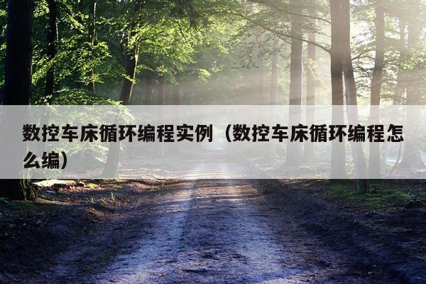 数控车床循环编程实例（数控车床循环编程怎么编）