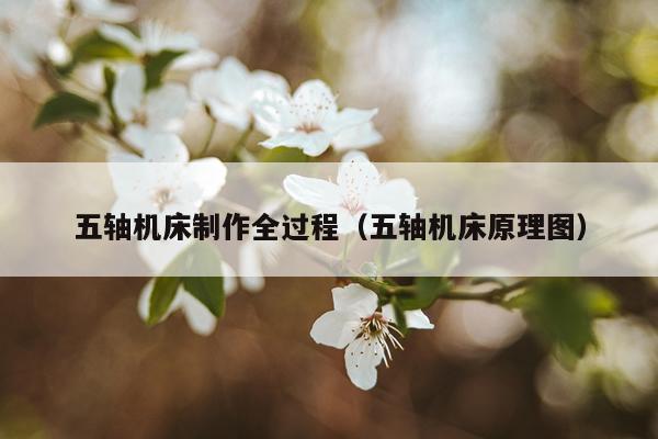 五轴机床制作全过程（五轴机床原理图）