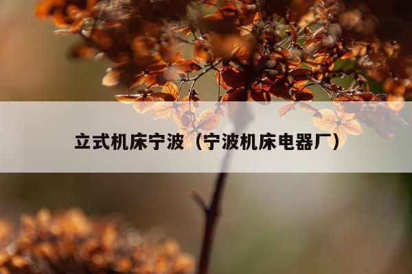 立式机床宁波（宁波机床电器厂）
