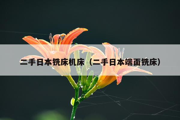 二手日本铣床机床(二手日本端面铣床)
