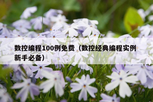数控编程100例免费（数控经典编程实例 新手必备）