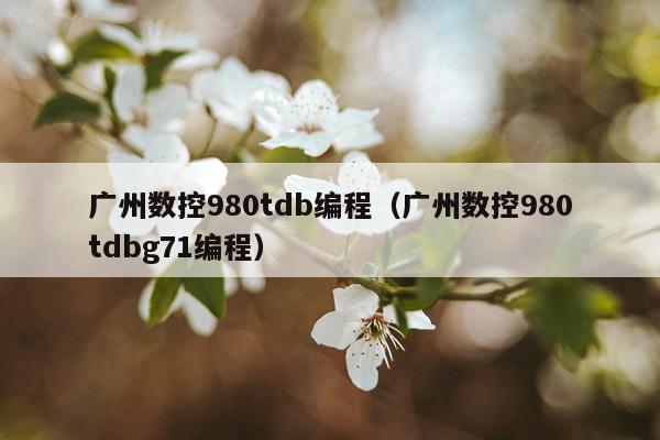 广州数控980tdb编程（广州数控980tdbg71编程）