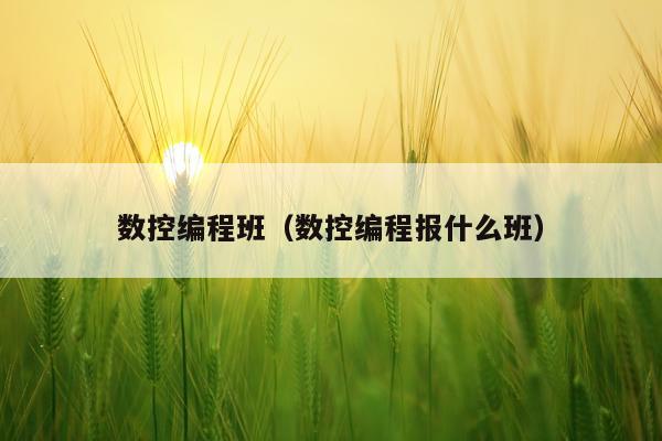 数控编程班（数控编程报什么班）