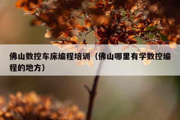 佛山数控车床编程培训（佛山哪里有学数控编程的地方）