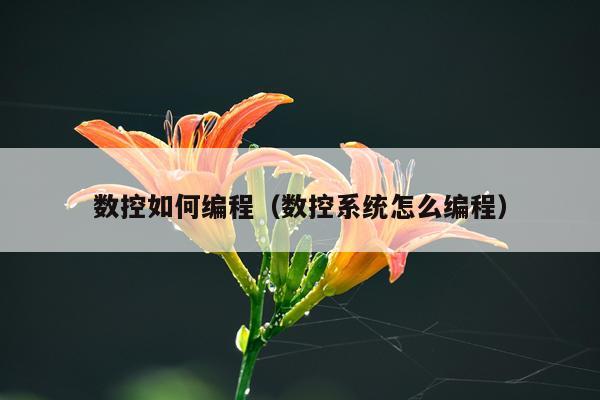 数控如何编程（数控系统怎么编程）