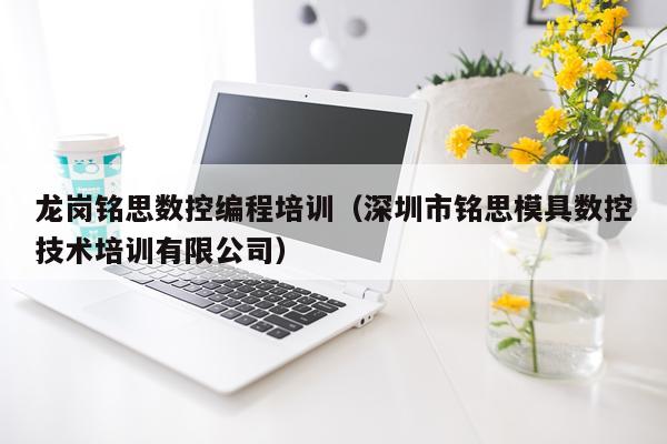 龙岗铭思数控编程培训（深圳市铭思模具数控技术培训有限公司）