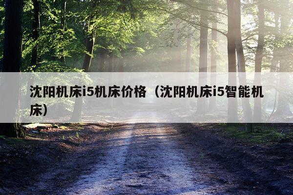 沈阳机床i5机床价格（沈阳机床i5智能机床）