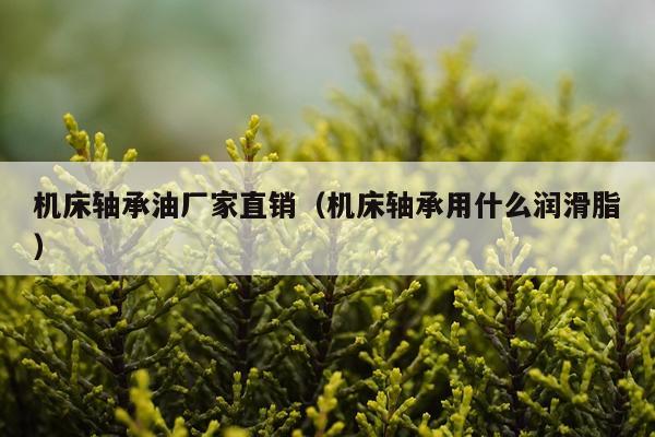 机床轴承油厂家直销（机床轴承用什么润滑脂）