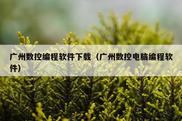 广州数控编程软件下载（广州数控电脑编程软件）