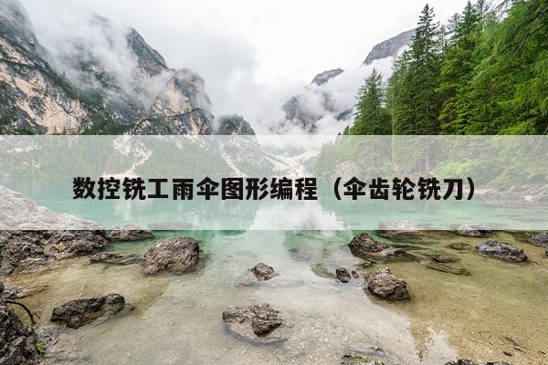 数控铣工雨伞图形编程（伞齿轮铣刀）