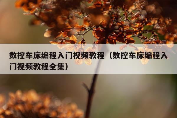 数控车床编程入门视频教程（数控车床编程入门视频教程全集）