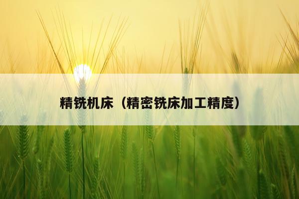 精铣机床(精密铣床加工精度)