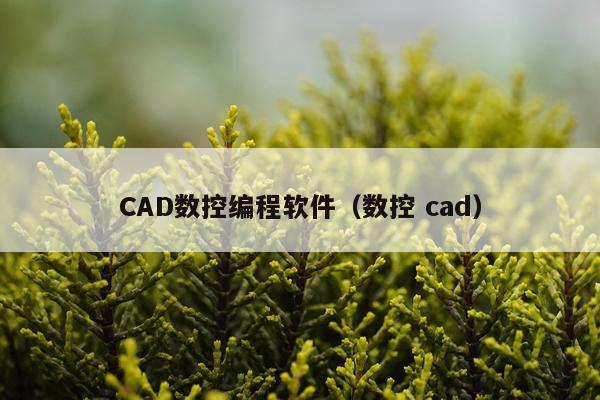 CAD数控编程软件（数控 cad）