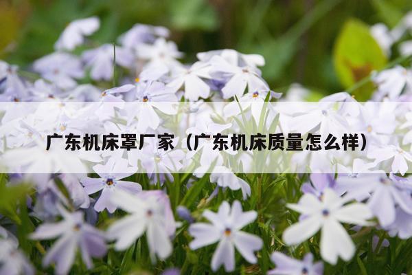 广东机床罩厂家(广东机床质量怎么样)