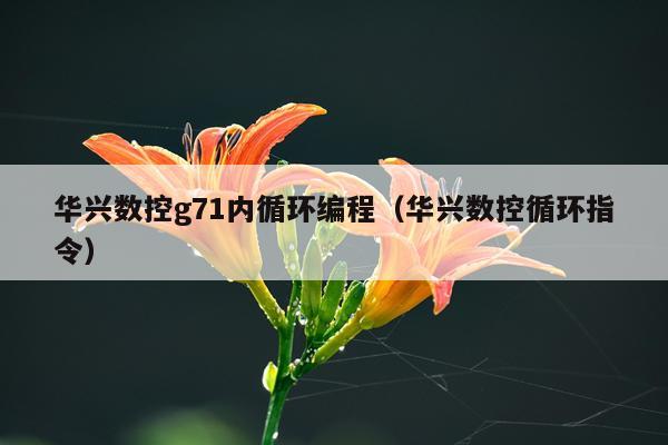 华兴数控g71内循环编程（华兴数控循环指令）
