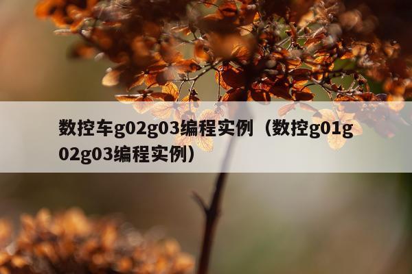 数控车g02g03编程实例（数控g01g02g03编程实例）