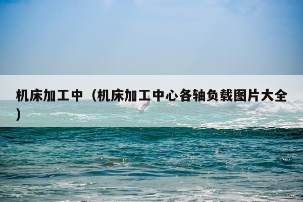 机床加工中（机床加工中心各轴负载图片大全）