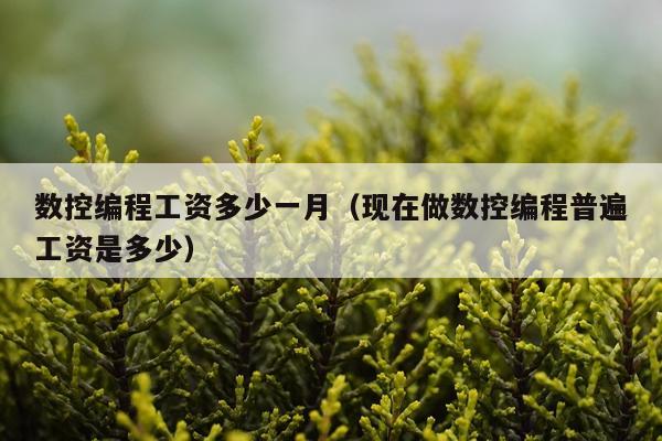 数控编程工资多少一月（现在做数控编程普遍工资是多少）