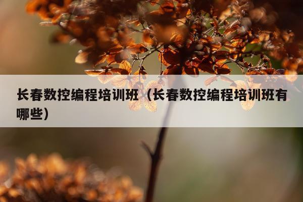 长春数控编程培训班（长春数控编程培训班有哪些）