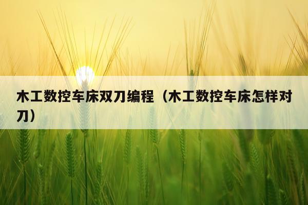 木工数控车床双刀编程（木工数控车床怎样对刀）