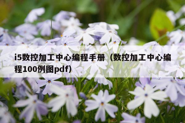 i5数控加工中心编程手册（数控加工中心编程100例图pdf）