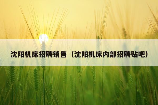 沈阳机床招聘销售（沈阳机床内部招聘贴吧）