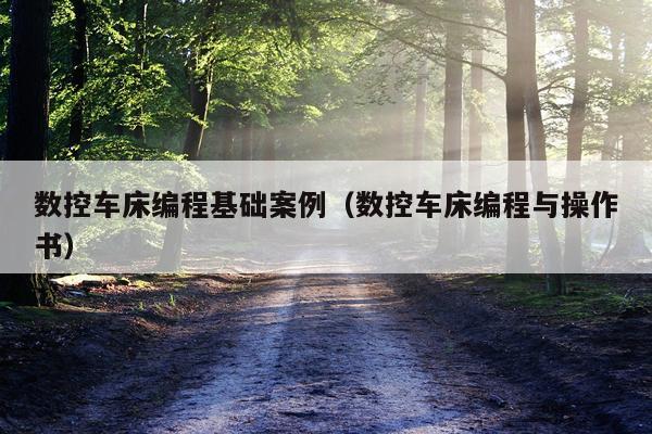 数控车床编程基础案例（数控车床编程与操作书）
