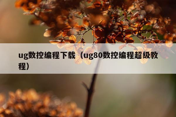 ug数控编程下载（ug80数控编程超级教程）