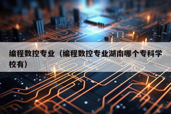 编程数控专业（编程数控专业湖南哪个专科学校有）