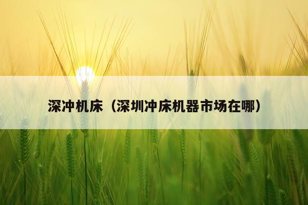 深冲机床（深圳冲床机器市场在哪）