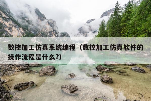 数控加工仿真系统编程(数控加工仿真软件的操作流程是什么?)