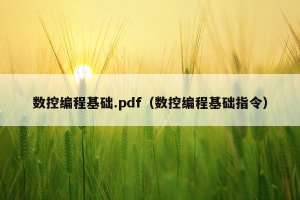 数控编程基础.pdf(数控编程基础指令)