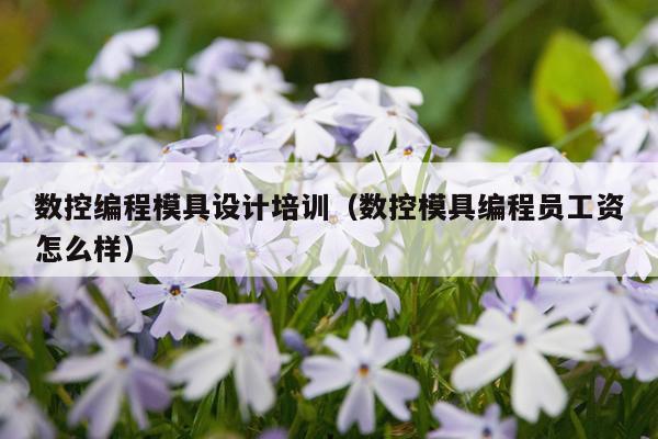 数控编程模具设计培训(数控模具编程员工资怎么样)