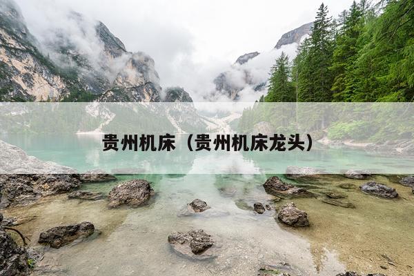 贵州机床（贵州机床龙头）