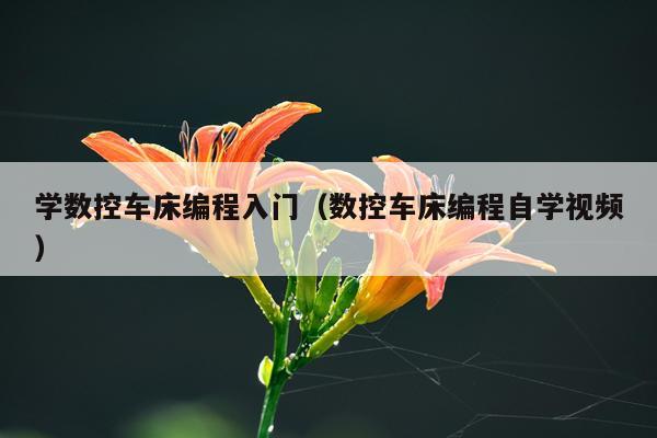 学数控车床编程入门(数控车床编程自学视频)