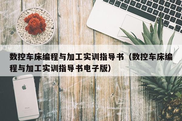 数控车床编程与加工实训指导书(数控车床编程与加工实训指导书电子版)
