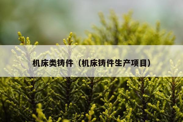 机床类铸件（机床铸件生产项目）