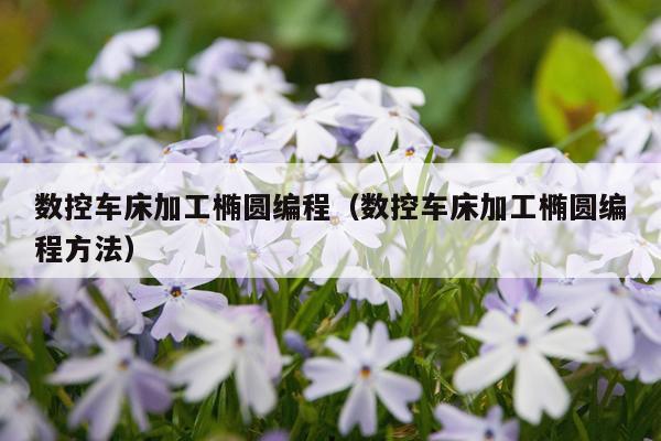 数控车床加工椭圆编程(数控车床加工椭圆编程方法)