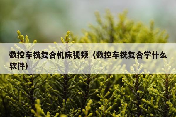 数控车铣复合机床视频（数控车铣复合学什么软件）