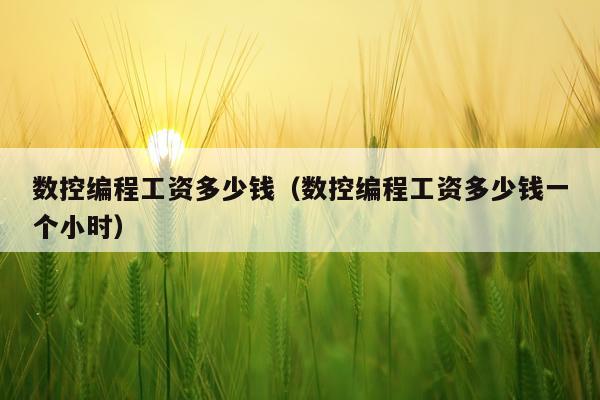 数控编程工资多少钱(数控编程工资多少钱一个小时)