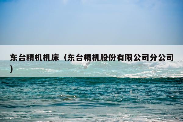 东台精机机床（东台精机股份有限公司分公司）