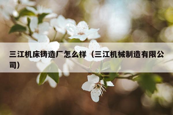三江机床铸造厂怎么样（三江机械制造有限公司）