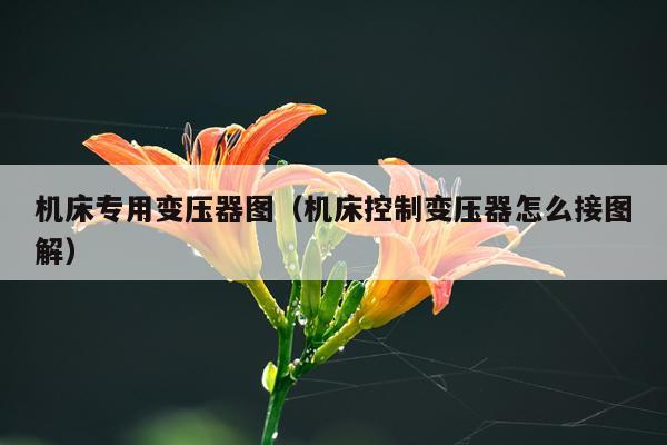 机床专用变压器图（机床控制变压器怎么接图解）
