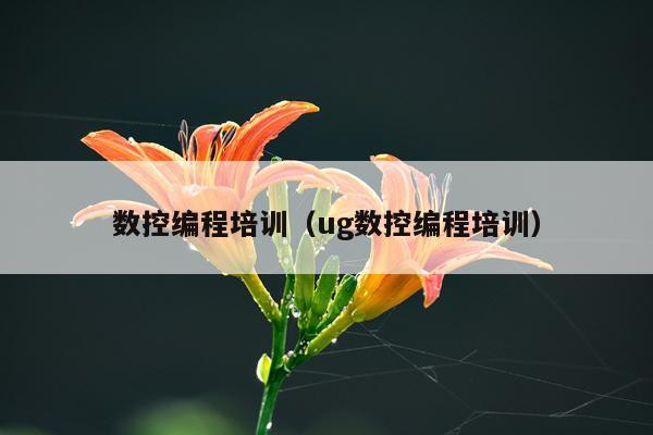数控编程培训（ug数控编程培训）