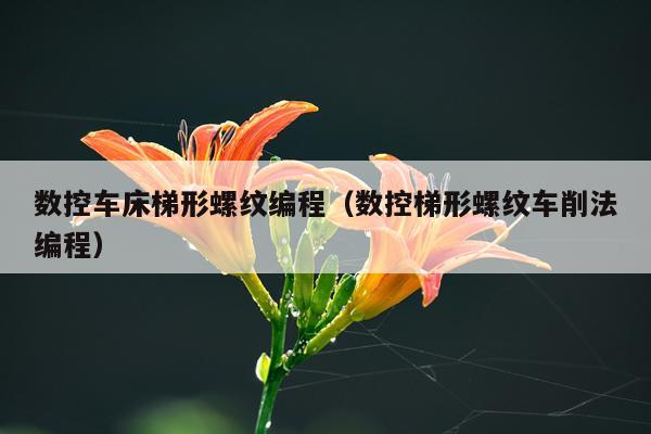 数控车床梯形螺纹编程（数控梯形螺纹车削法编程）