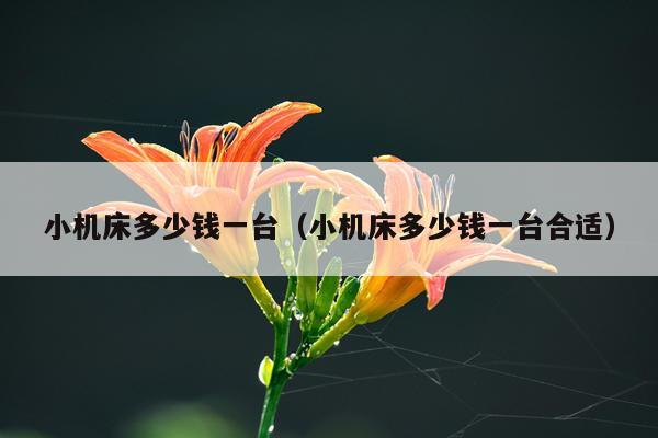 小机床多少钱一台（小机床多少钱一台合适）
