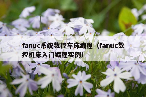 fanuc系统数控车床编程（fanuc数控机床入门编程实例）