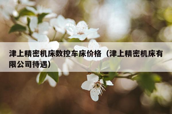 津上精密机床数控车床价格(津上精密机床有限公司待遇)