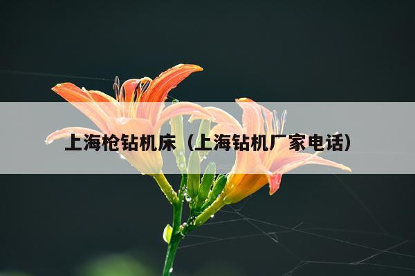 上海枪钻机床（上海钻机厂家电话）